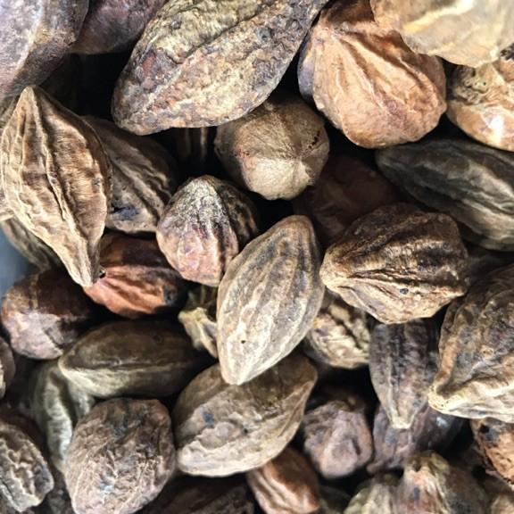 1kg kha tử