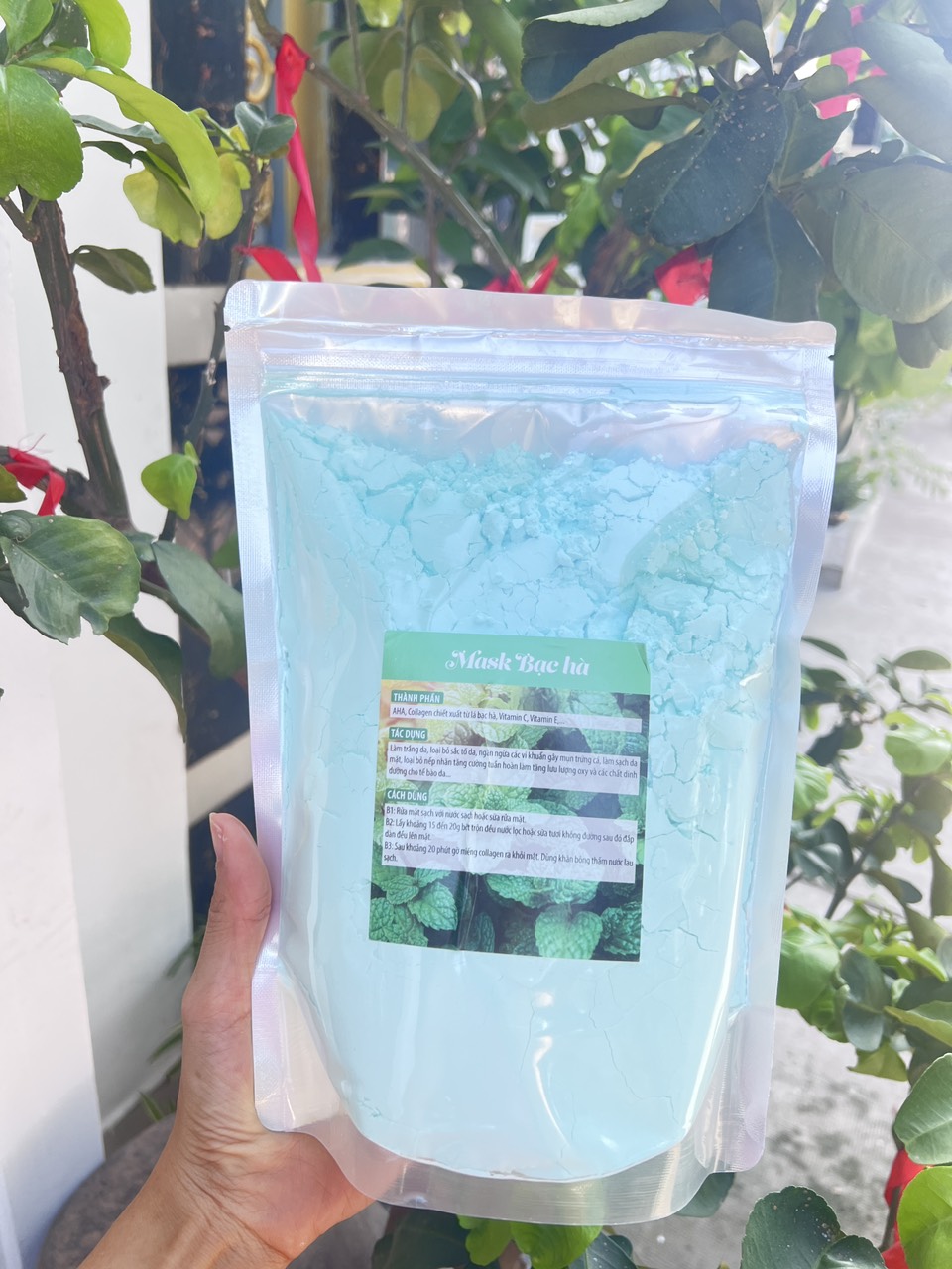 [HCM]Bột Bạc Hà - Bột đắp mặt nạ bạc hà cao cấp / gói 1 kg