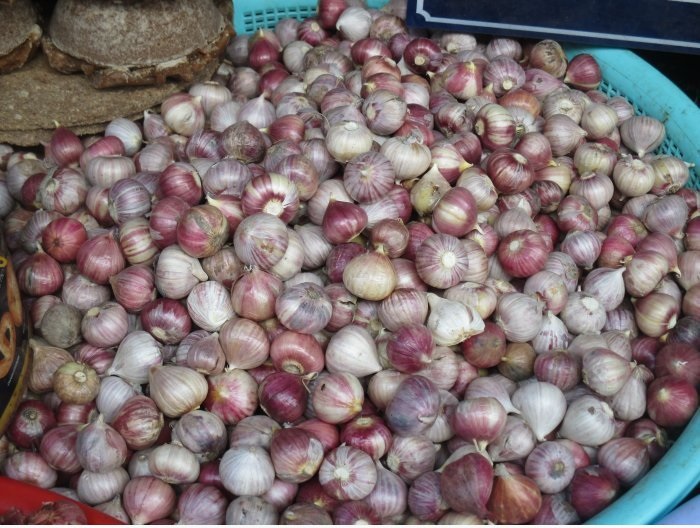 Combo 1kg Tỏi Cô Đơn Phan Rang loại làm Tỏi Đen