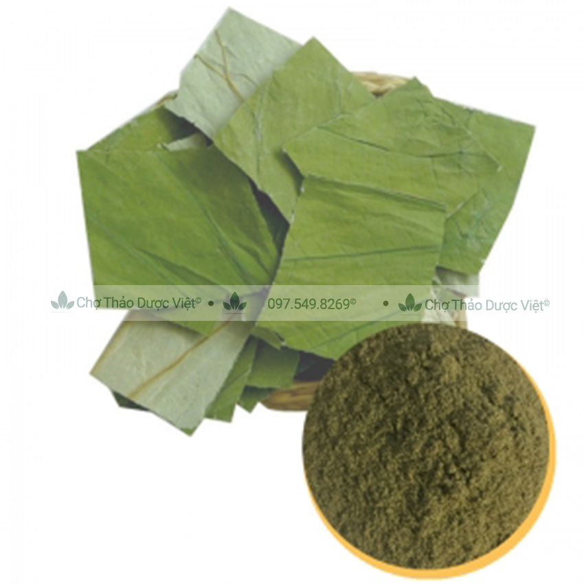 Bột lá sen nguyên chất 100g (Hỗ trợ giảm mỡ máu, thanh lọc cơ thể, an thần) - Chợ Thảo Dược Việt