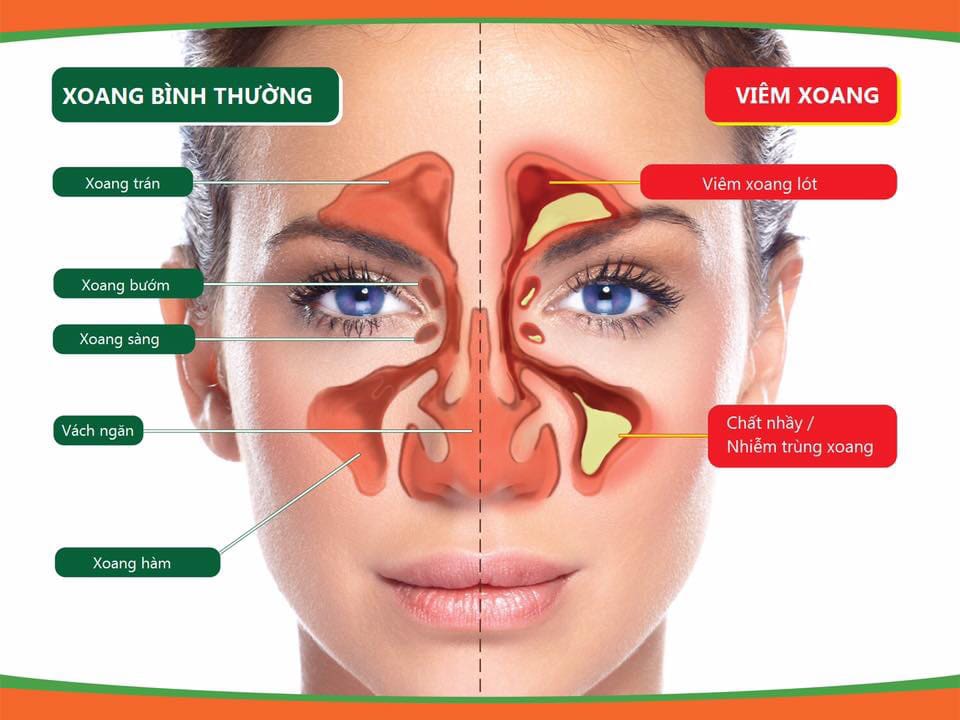 Dầu Xoang Thảo Dược Khun Prema Thái Lan
