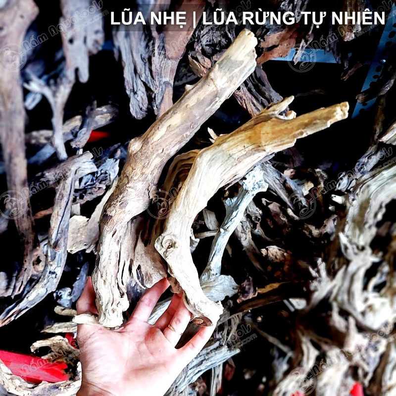 Lũa Nhẹ - Dòng Lũa Rừng Tự Nhiên | Lũa Chuyên Setup Bể Cá Thuỷ Sinh - Bán Cạn - Tiểu Cảnh - Tetrarium [1kg]