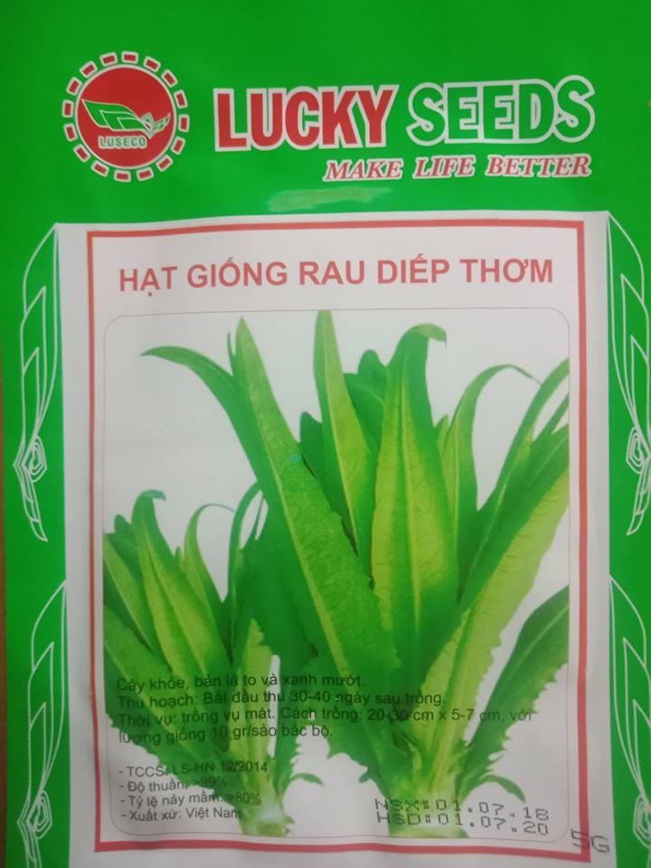" Gói 5Gram "Hạt giống Rau Diếp thơm (Cải Nhíp) [Seeds]