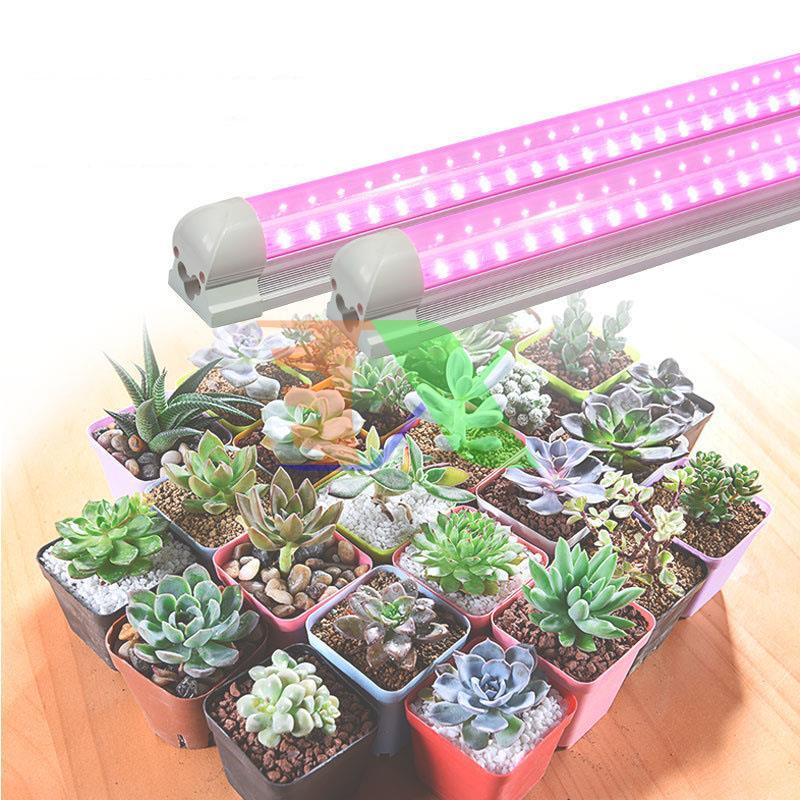 Led grow lights T8 1.2m