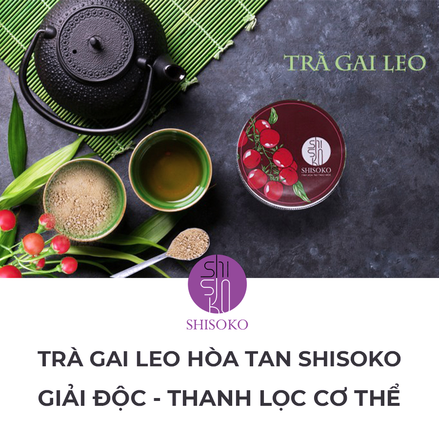 Trà Hòa Tan Cà Gai Leo Shisoko