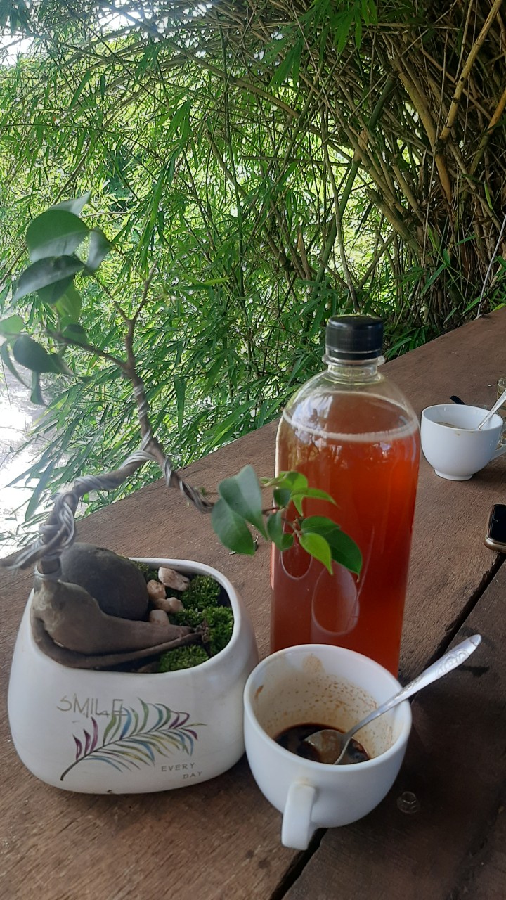Mật ong từ hoa cà phê chai 1lit