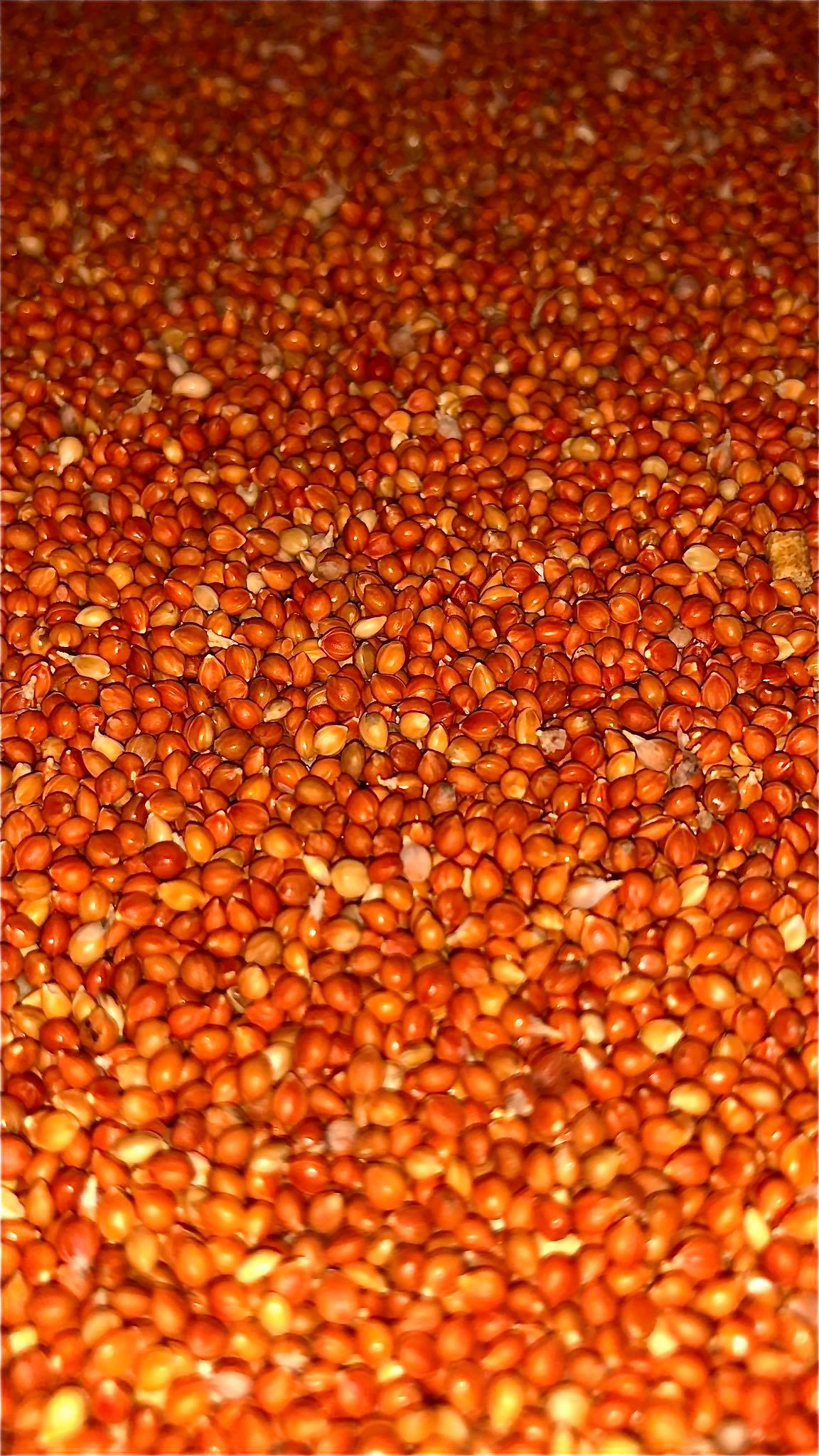 COMBO KÊ ĐỎ & KÊ VÀNG (mỗi thứ 1kg) đa công dụng.