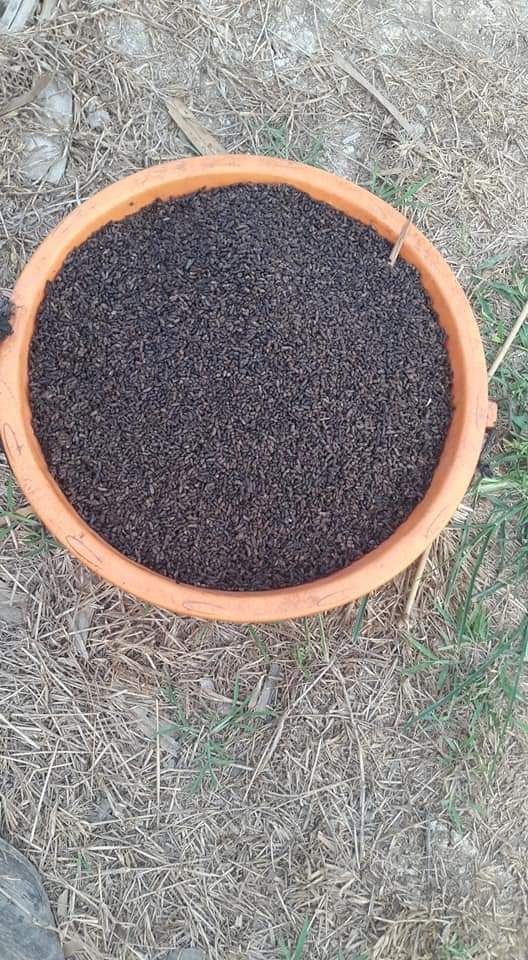 Phân dơi khô nguyên chất dùng cho cây trồng (500g)