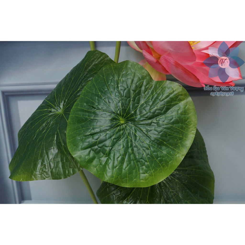 Hoa Lụa 🌺FREESHIP🌺 Hoa Sen Giả Trang Trí