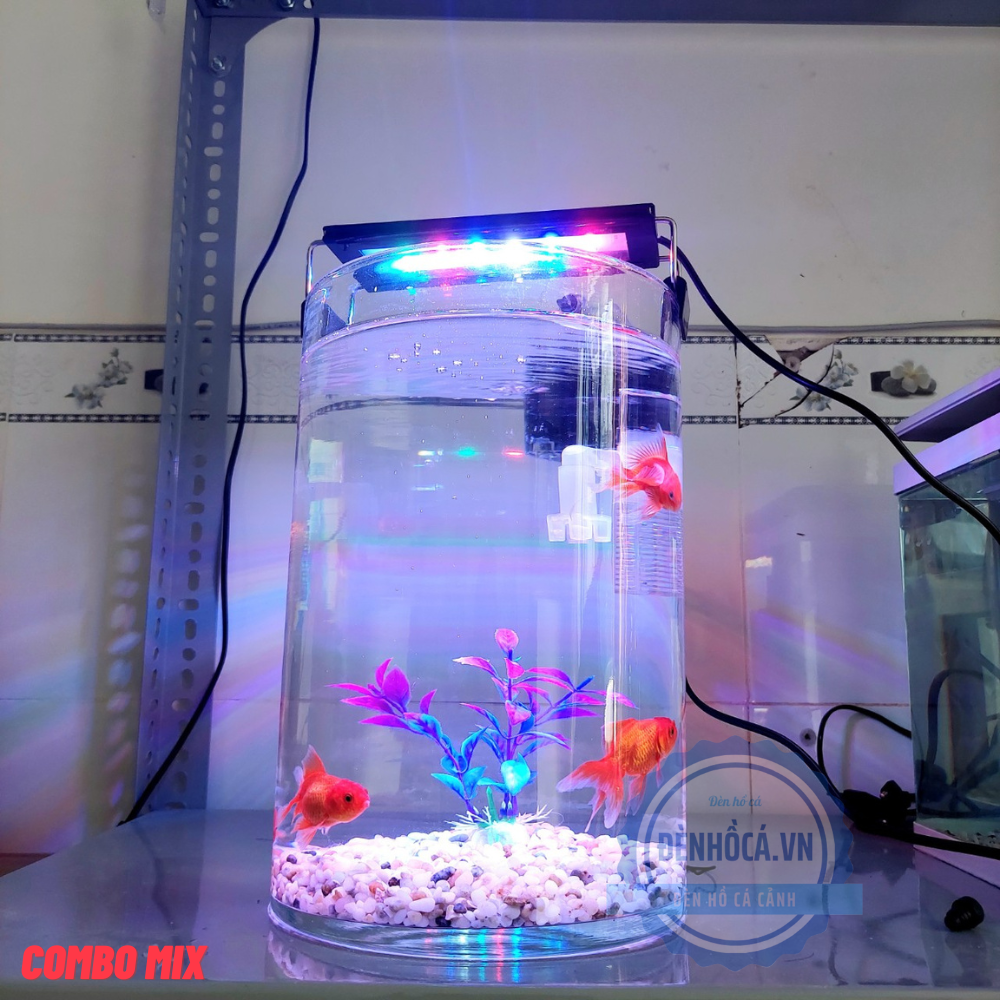 Bể cá mini tròn D20-H30cm để bàn phong thủy