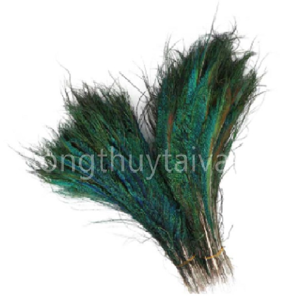 Lông Công RIA 25- 30cm trang trí ,chiêu tài phong thủy (5 lông)