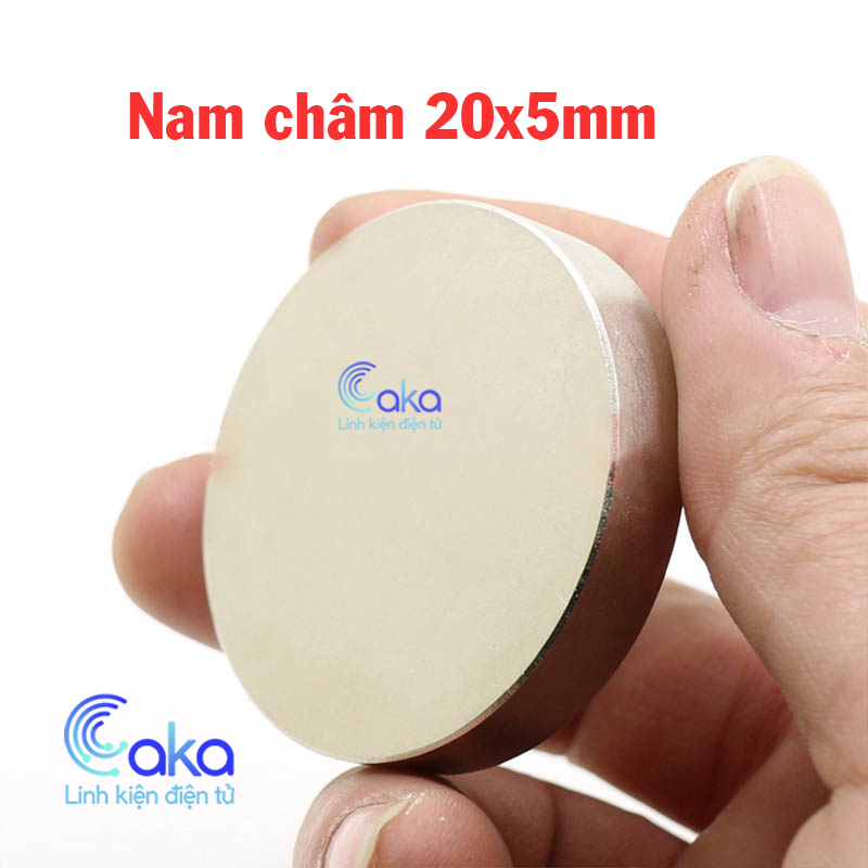 Nam châm đất hiến 20x5 loại tròn