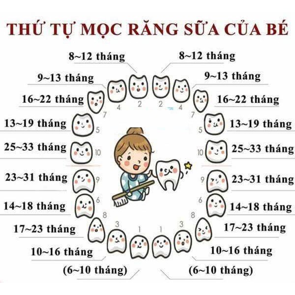 Hộp đựng răng sữa kỉ niệm cho mẹ và bé