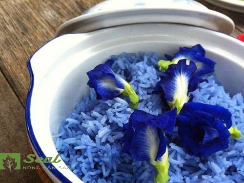 HOA ĐẬU BIẾC KHÔ 20G