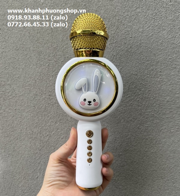 micro không dây cho bé karaoke - micro không dây cho bé