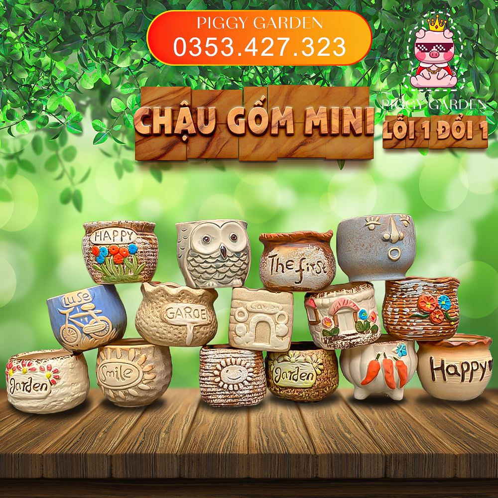 Chậu gốm trồng sen đá, xương rồng mini, combo 5 chậu