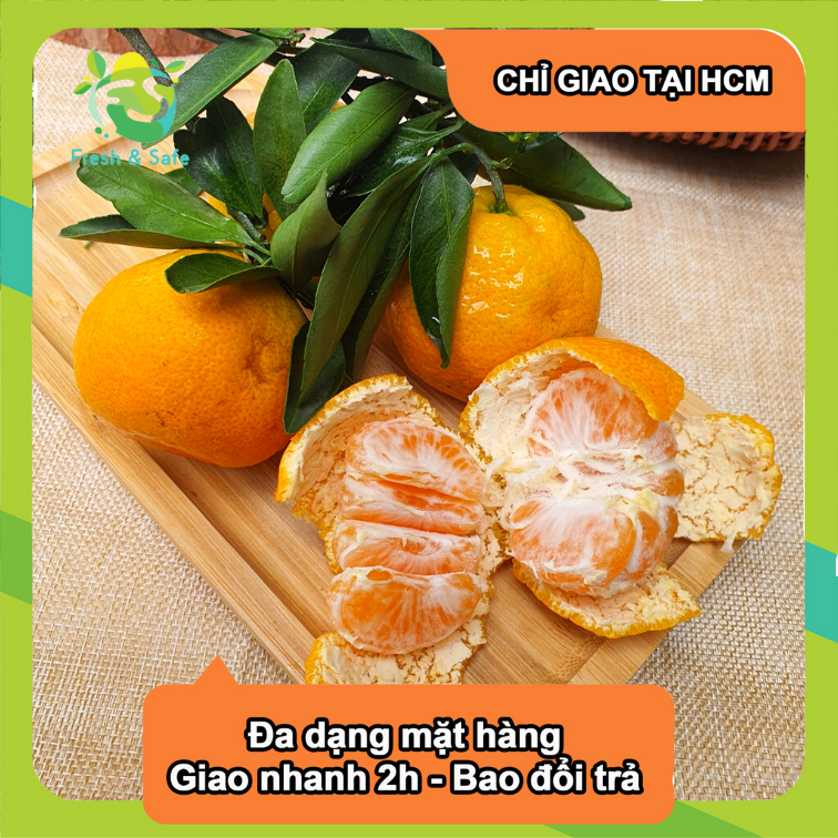 [Chỉ Giao HCM] Quýt Thái - 1kg