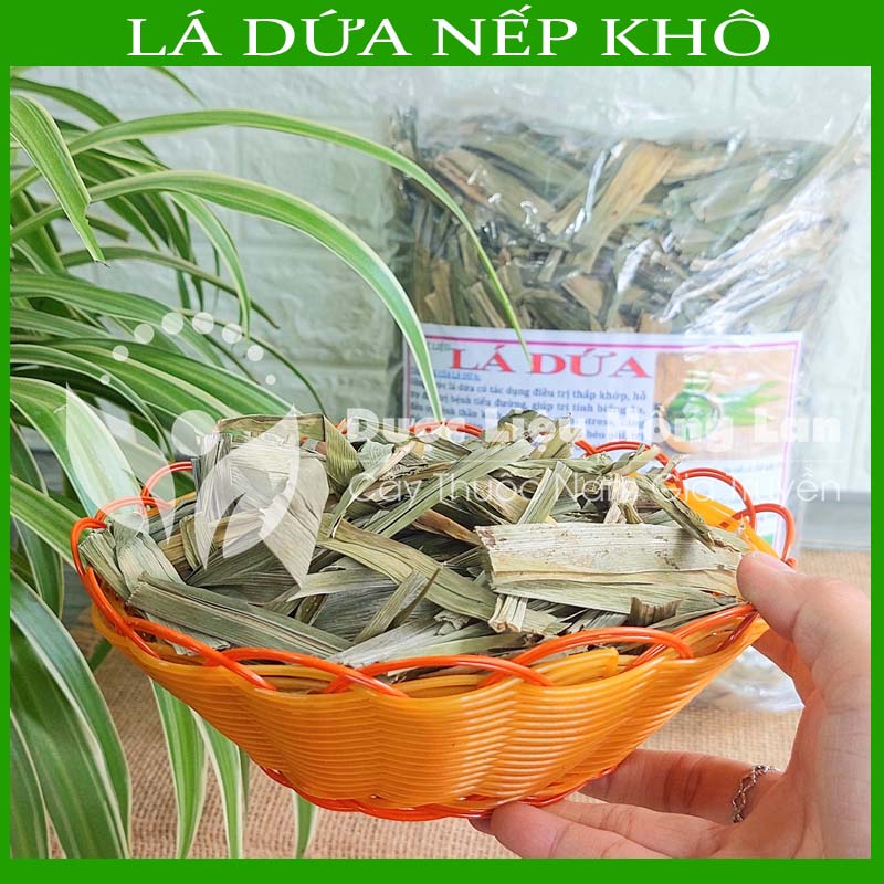 500g LÁ DỨA NẾP sấy lạnh khô sạch - congtyduoclieuhonglan