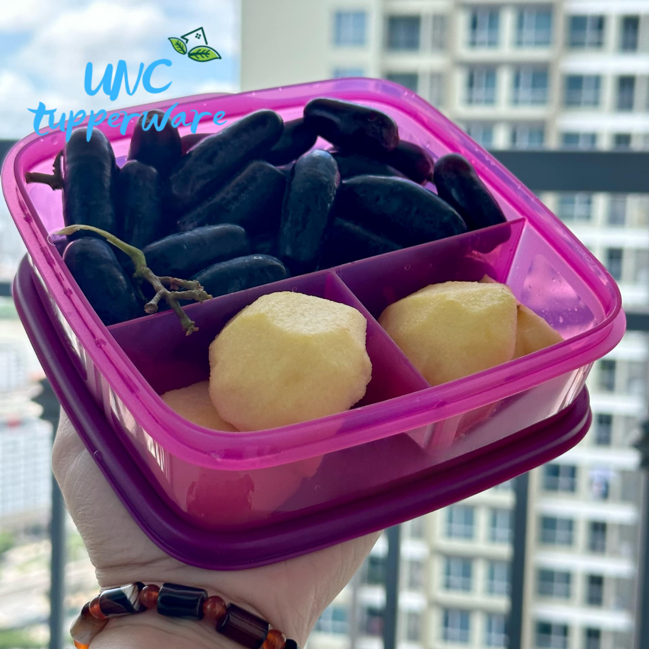 Hộp cơm Tupperware Lolly Tup 550ml