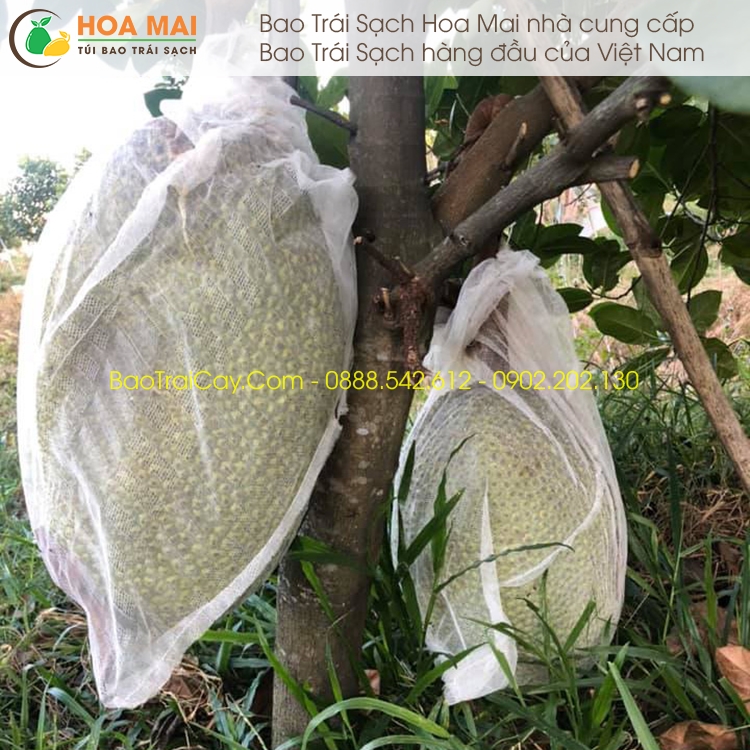 Bao mít 40x50cm vải mùng 100 cái