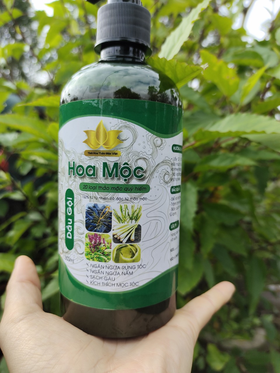dầu gội thảo mộc 500ml