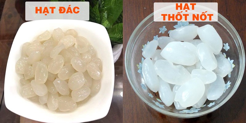 HẠT ĐÁC NHA TRANG