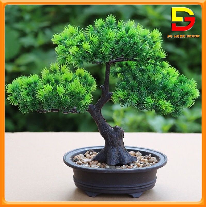Potted bonsai tree bonsai decoration home desk shelf Cabinet Office Cafe dg-146