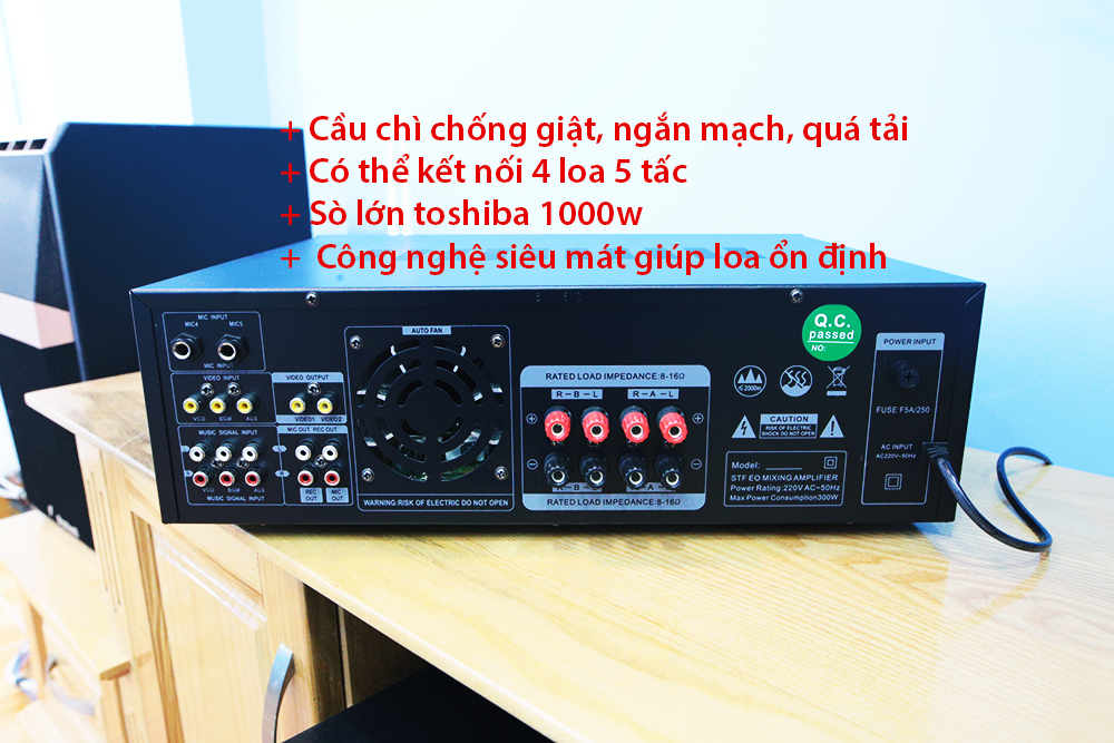 [HCM]Amply karaoke Bradwell BR380