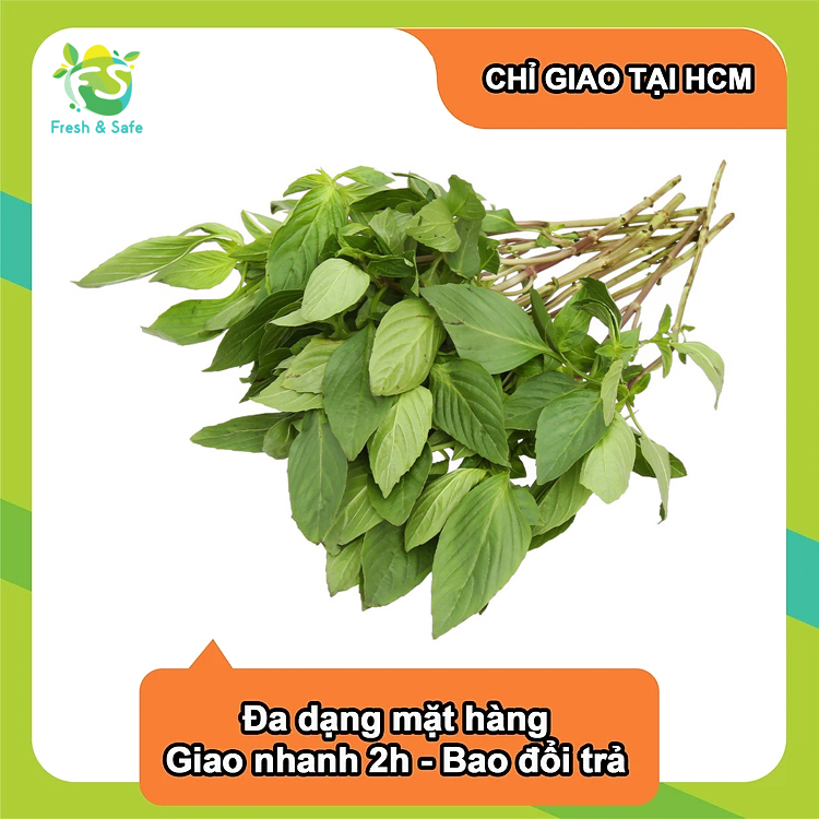 [Chỉ Giao HCM] Húng Quế - 100g