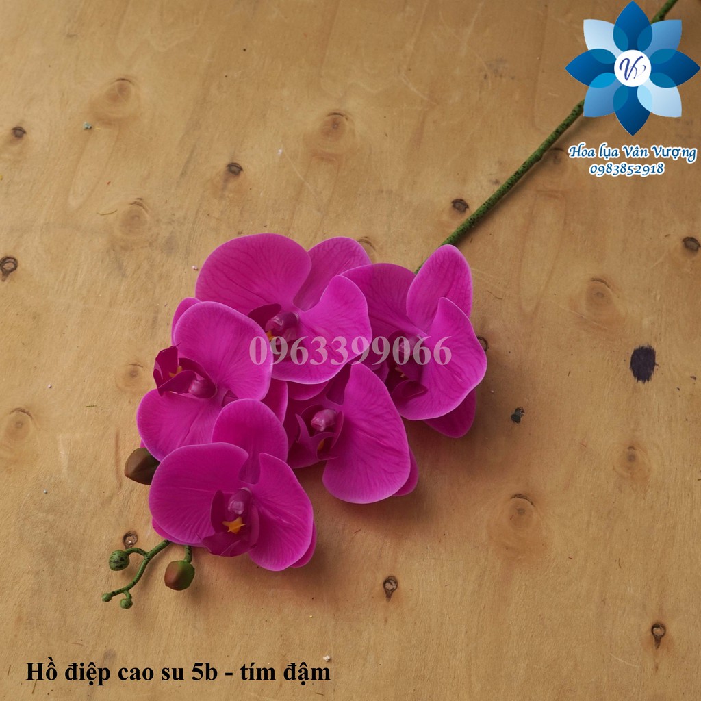 Hoa Lụa 🌺FREESHIP🌺 Lan Hồ Điệp Cao Su 5 Bông