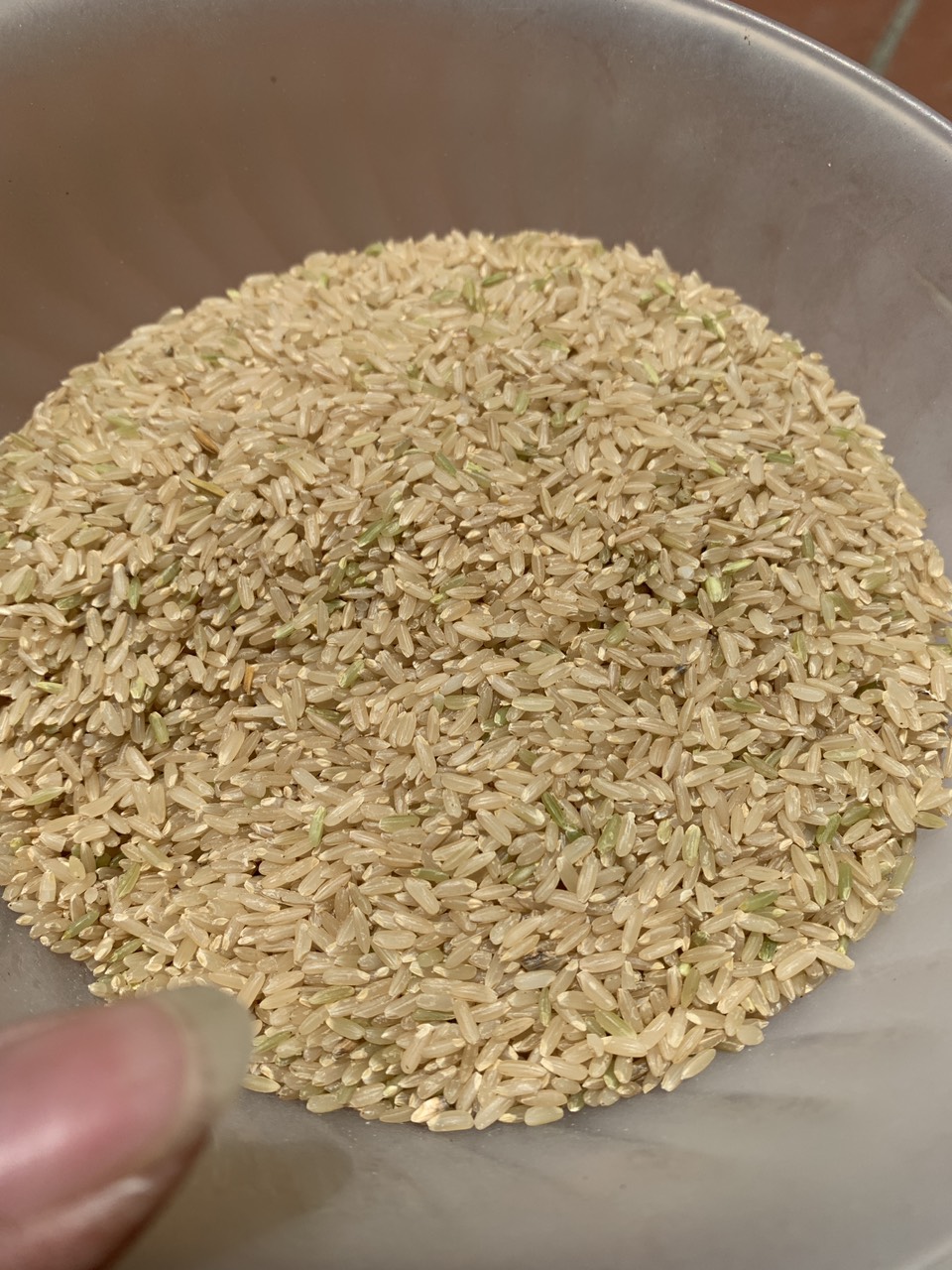 Gạo Lứt Nguyên Cám (Túi 1kg)