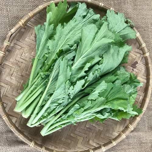 Hạt giống rau cải mèo {gói 20gram} - VTNT
