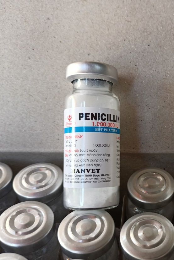 Streptomycin 1g hanvet bột pha dùng cho động vật. hộp 50 lọ strep