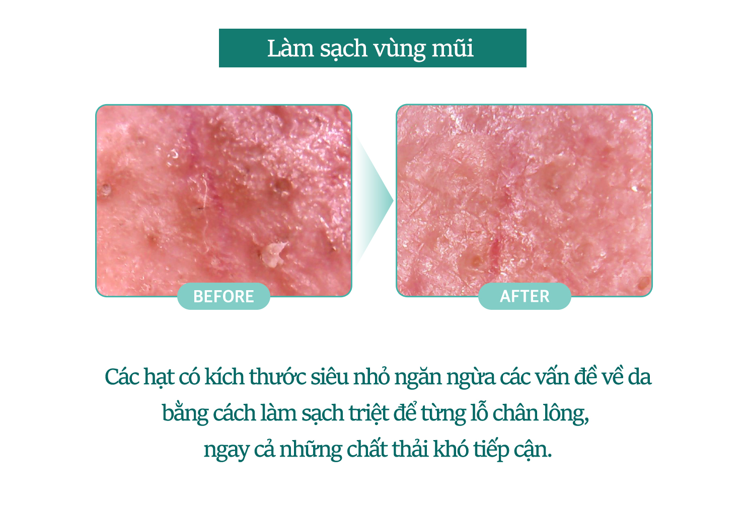 BỘT RỬA MẶT THELAVICOS ENZYME WASHING POWDER