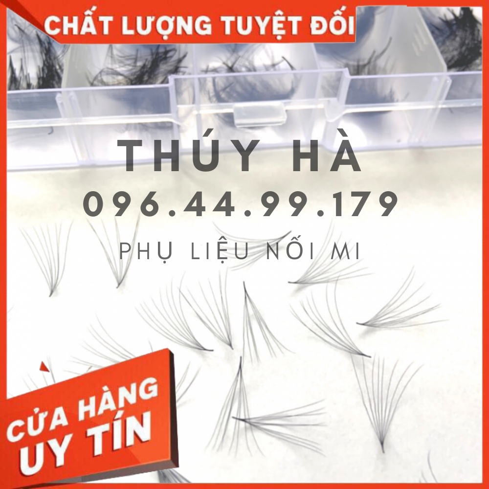 Mi FAN 8D C - D 005 MIX SIZE (9->13)mm (1000fan)_dụng cụ nối mi_THÚY HÀ