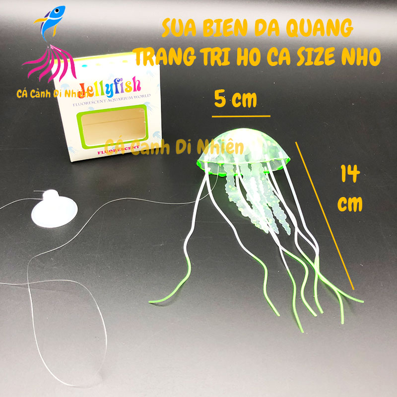 Sứa biển dạ quang trang trí hồ cá cảnh size Nhỏ 14x5 cm(màu ngẫu nhiên)