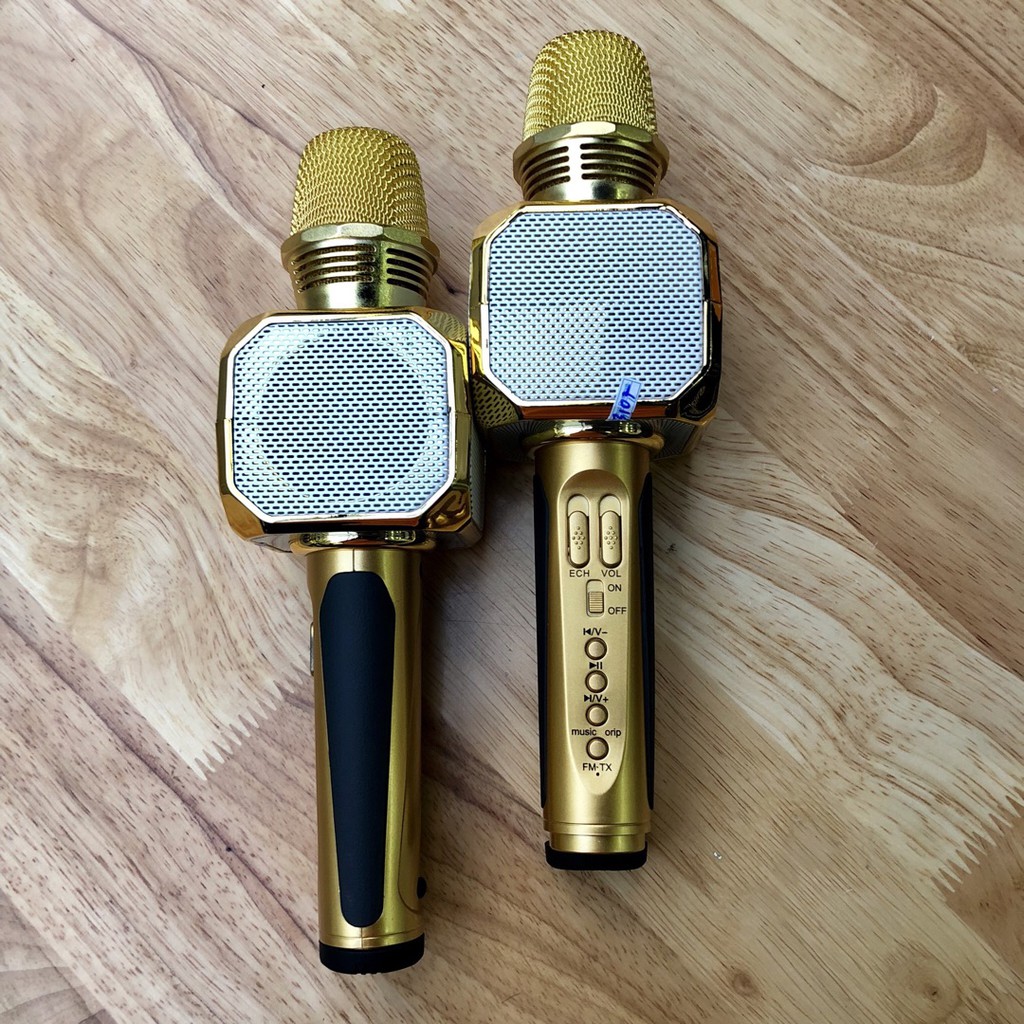 Micro Karaoke Kèm Loa Bluetooth Sd10