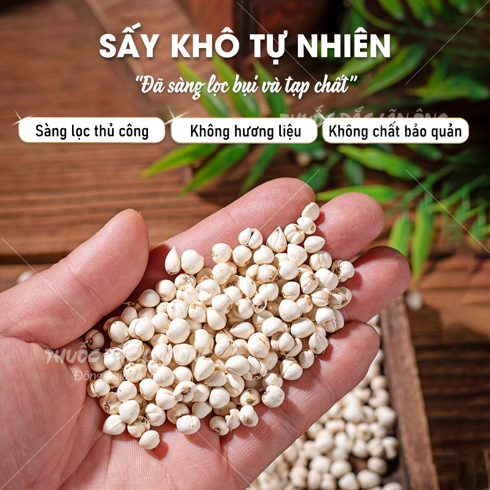 Xuyên bối mẫu 100g, bối mẫu tứ xuyên, khô, thơm, hạt đều, không lẫn tạp chất - Lãn Ông