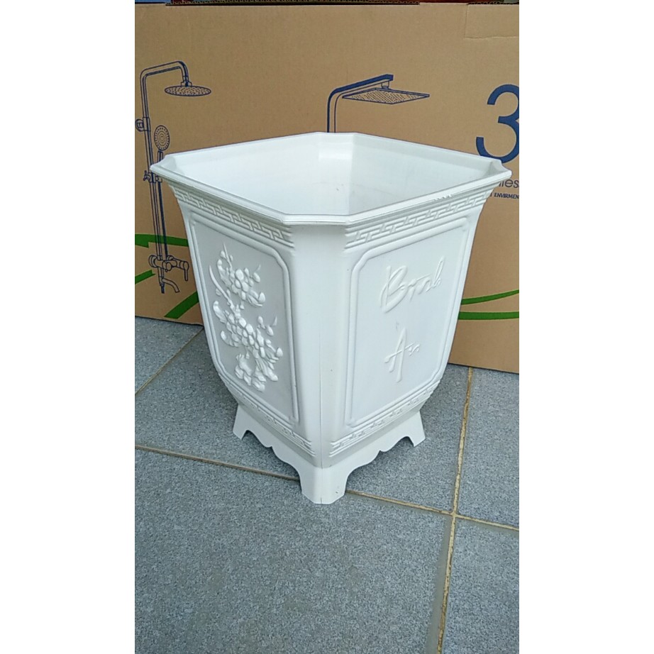 Chậu trồng cây tứ quý, chậu vuông