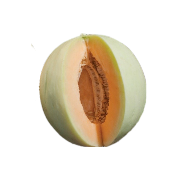 Hạt giống Dưa Lê Thịt Hồng honey