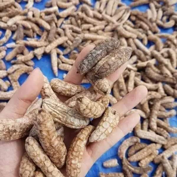 CHUỐI HỘT RỪNG 1kg