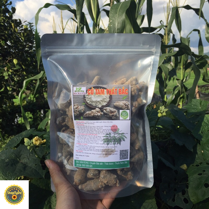 Củ Tam Thất Bắc Rừng thượng hạng khô 100 gram (loại 6-8 củ)