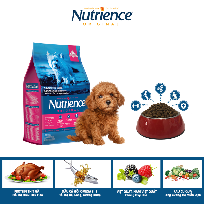 Thức Ăn Cho Chó Poodle Nutrience Original Hỗ Trợ Da Lông Bóng Mượt, Hệ tiêu Hóa, Hệ Miễn Dịch Khỏe Mạnh - Thịt Gà, Rau Củ Và Trái Cây Tự Nhiên