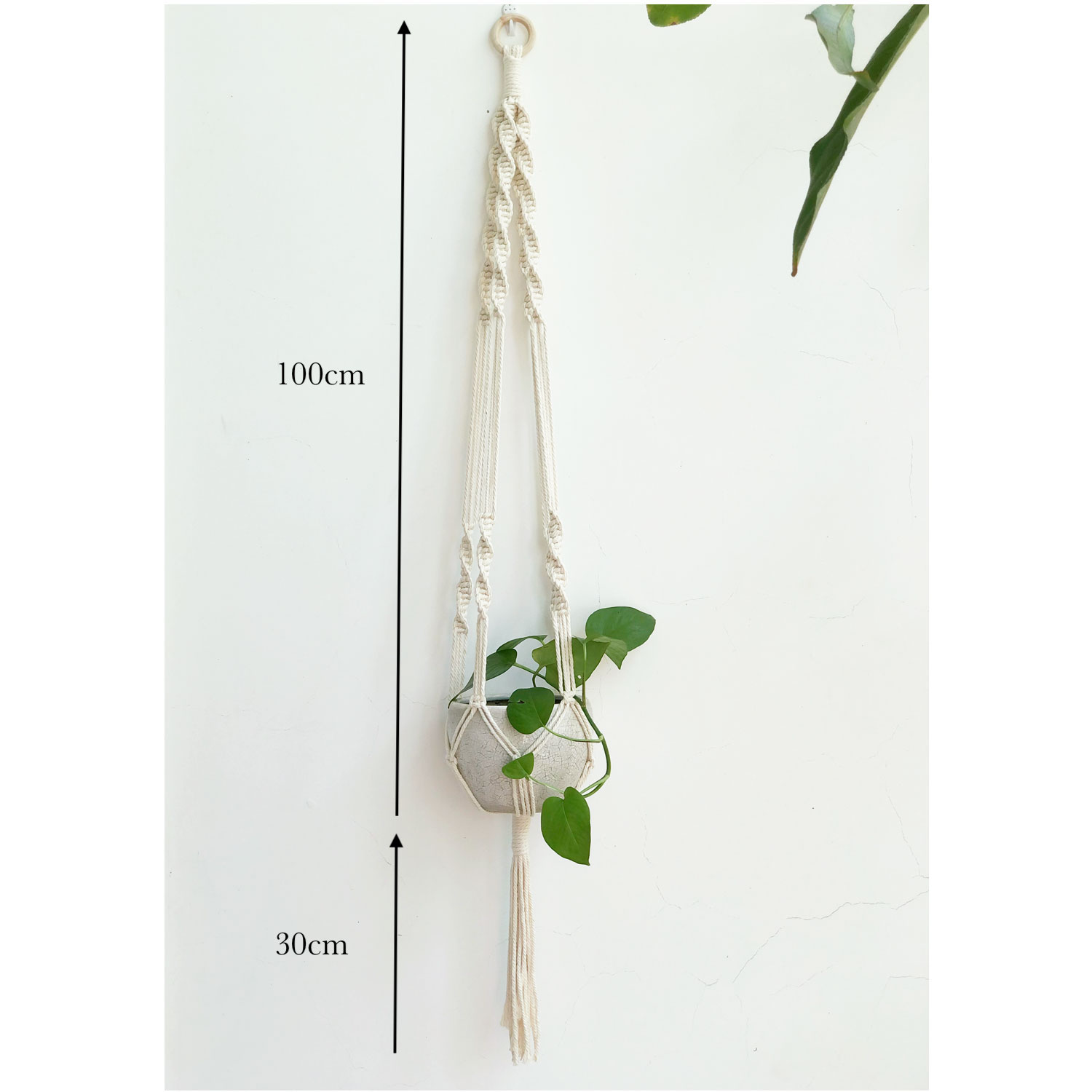 Dây treo chậu cây Arata AMPH006