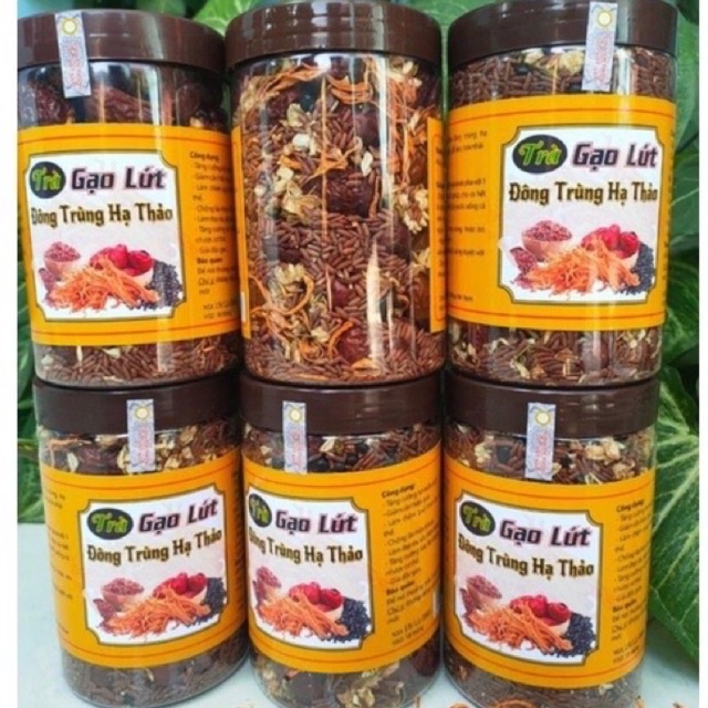 Trà gạo lứt đông trùng hạ thảo hộp 500g