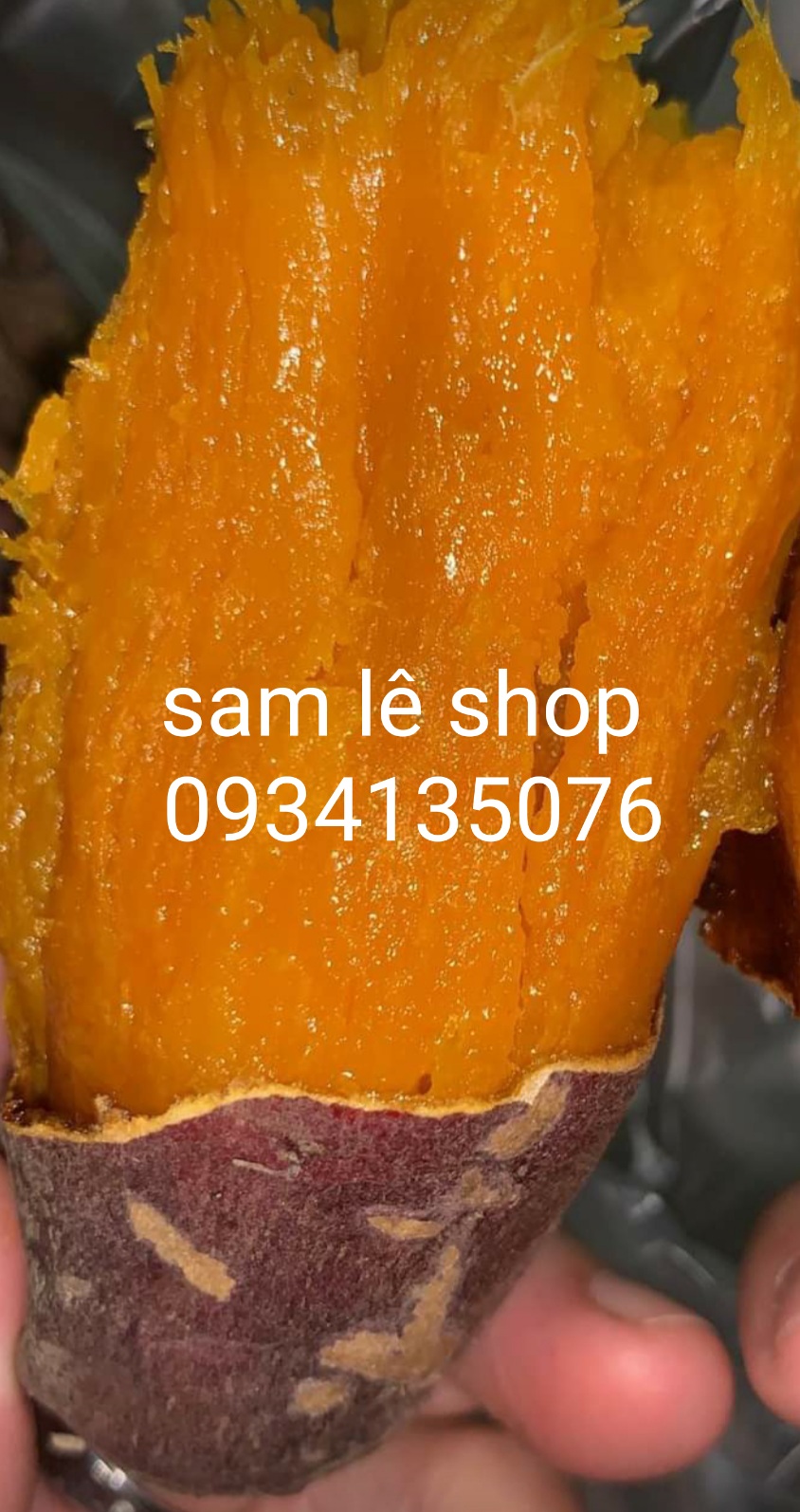 Khoai Lang Mật Vùng Tà Nung Đà lạt, Cỡ Trung (7-10 củ 1 Ký)