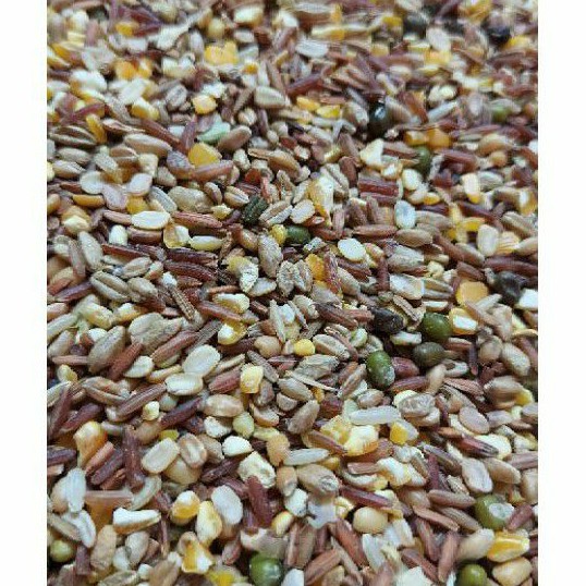 1KG ngũ cốc cho gà chọi ngũ cốc cho gà đẻ ngũ cốc cho chim bồ câu thức ăn cho gà đá thức ăn cho chim bồ câu