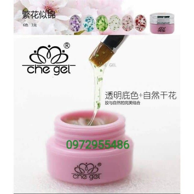 Gel Hoa Khô Ẩn trang trí móng