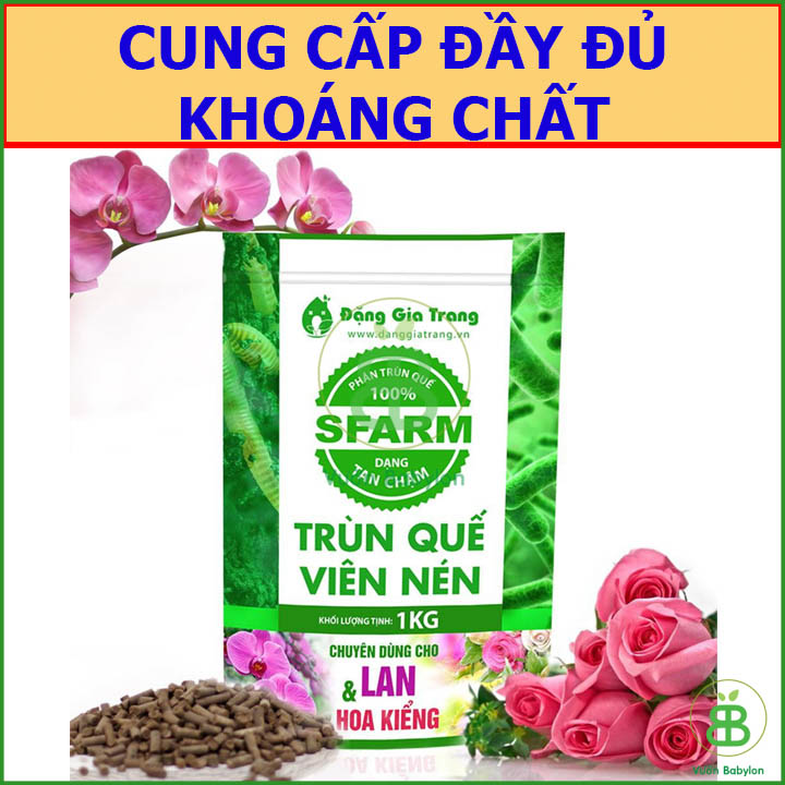 Phân Trùn Quế Viên Nén Sfarm 1KG