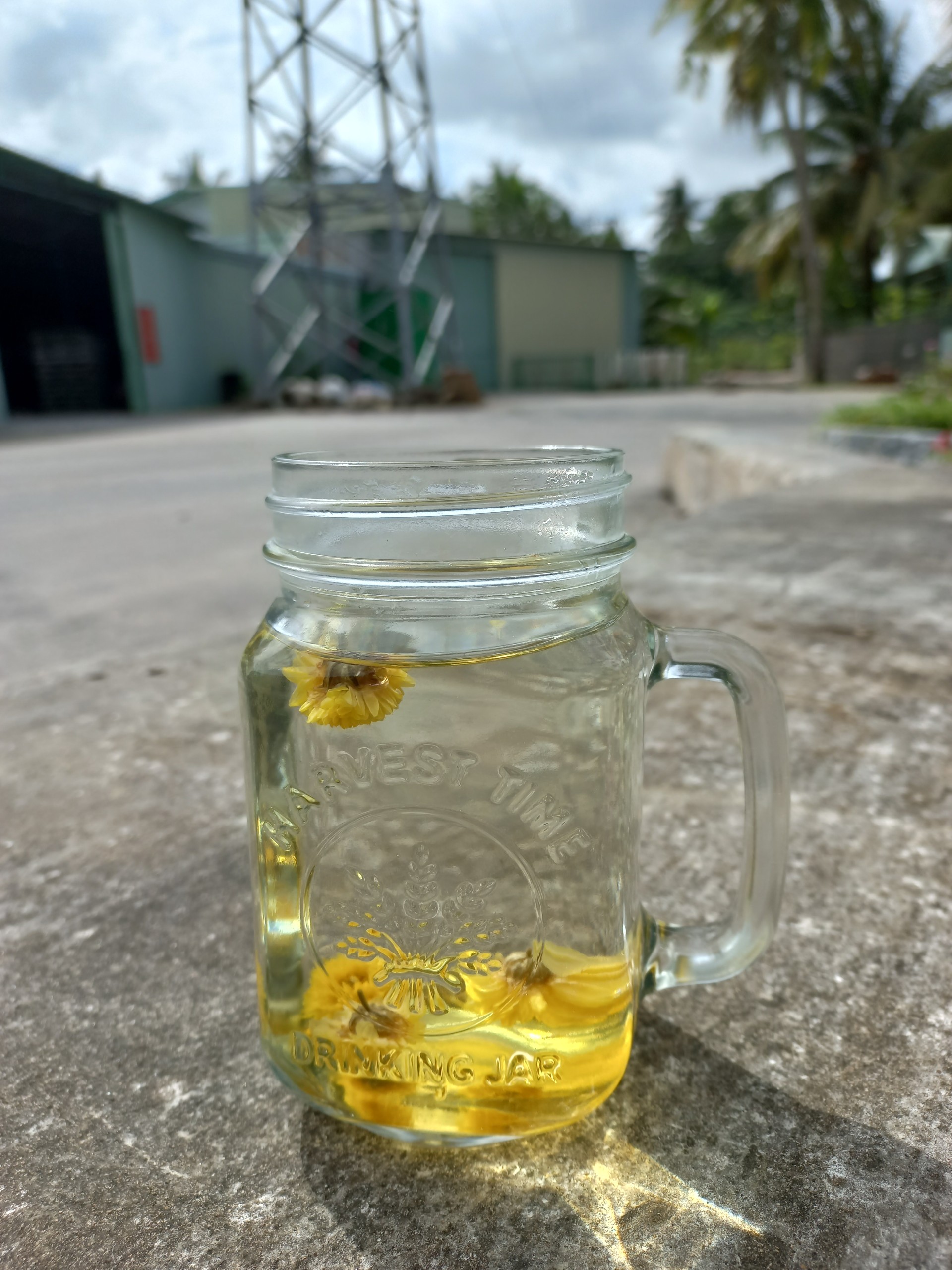 🌼(200GR) TRÀ HOA CÚC ĐƯỜNG PHÈN MẬT ONG🌼